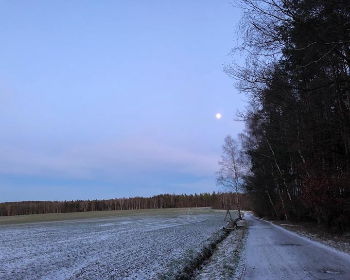 Forsthaus Waldfrieden